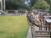 The Event Workshop Incentive Event at Bovey Castle